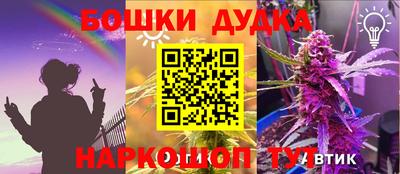 стаф Кинель