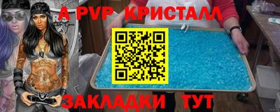 стаф Кинель