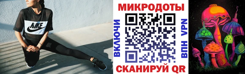 ОМГ ОМГ маркетплейс  наркотики  Кушва  Галлюциногенные грибы Psilocybine cubensis 