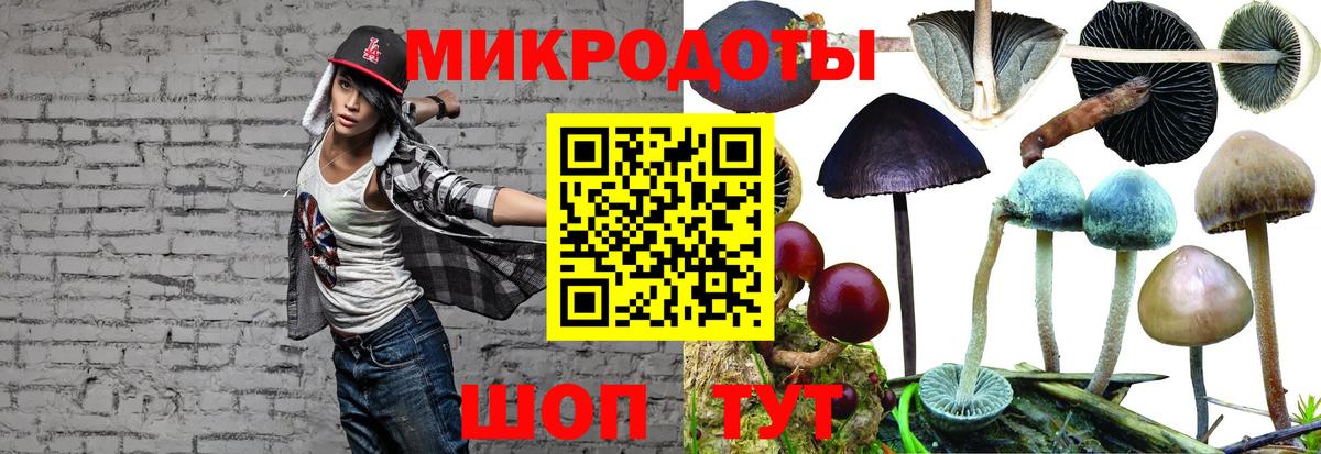 Псилоцибиновые грибы ЛСД  Вход с VPN  Кушва 
