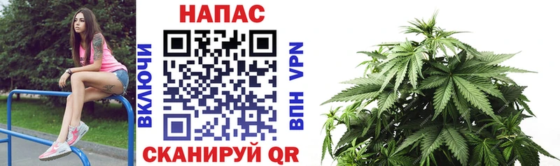 hydra ссылка  Кушва  Бошки Шишки планчик 